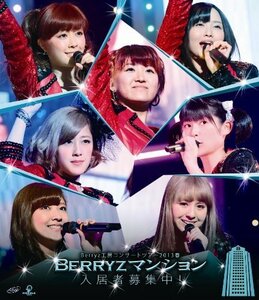 Berryz工房コンサートツアー2013春 ~Berryzマンション入居者募集中!~ Blu-r（中古品）