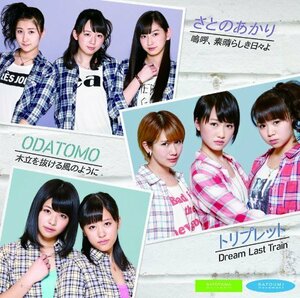 嗚呼、素晴らしき日々よ/Dream Last Train/木立を抜ける風のように [DVD]