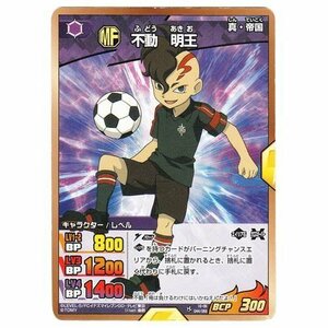 イナズマイレブンGO TCG 不動 明王(C) IG-06-044