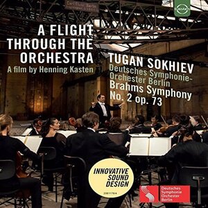 Flight Through the Orchestra - Deutsches Symphonie [DVD]