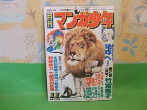 ☆☆☆月刊マンガ少年　特別読切 シンドバッド7回目の紅海=望月三起也/火の鳥=手塚治虫/聖魔伝=石川賢/少年期たち=永島慎二☆☆1977年11月1