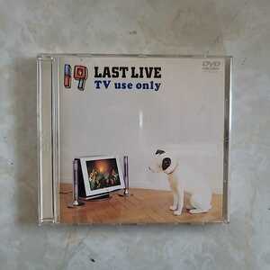 19LAST LIVE DVD 
