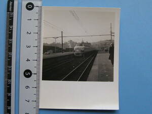 (J46)192 写真 古写真 電車 鉄道 鉄道写真 新幹線 こだま