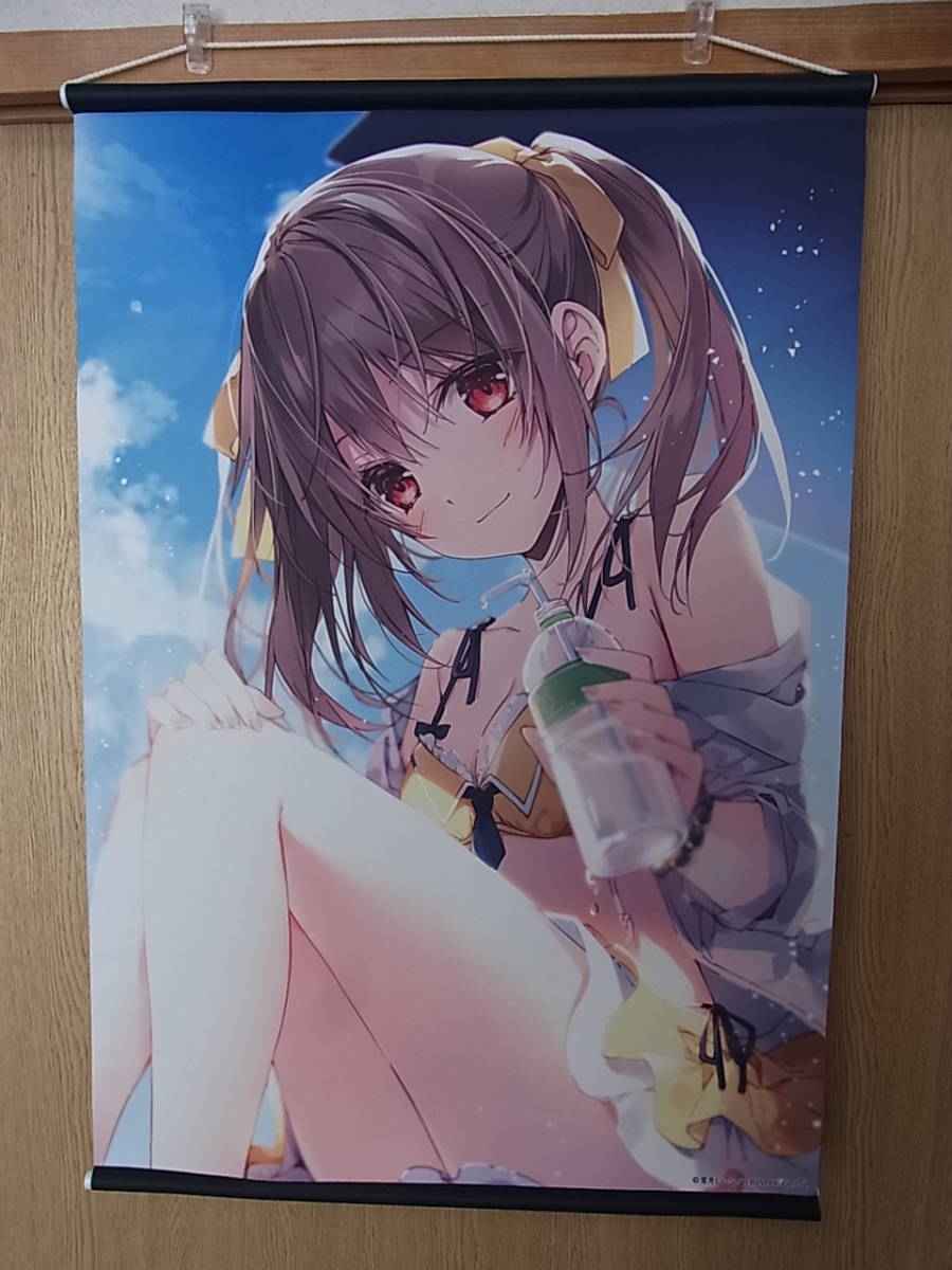 新年の贈り物 望月しいな MemorialFanbook 画集 受注生産品 アート