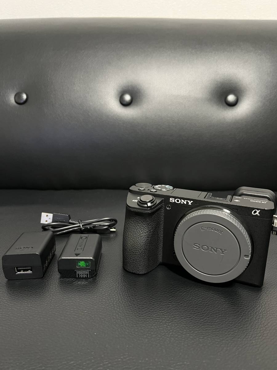 格安セット売り【SONY】α6500+sel1670z Carl Zeiss | www.tspea.org