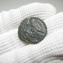 【古代ローマコイン】Constantius II（コンスタンティウス2世）クリーニング済 ブロンズコイン 銅貨(n5SVGNS6jh)_画像8