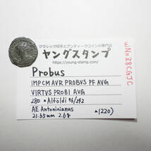 【古代ローマコイン】Probus（プロブス）クリーニング済 ブロンズコイン 銅貨(uiNxZ8CGJC)_画像10