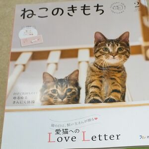 ねこのきもち(benesse)12冊