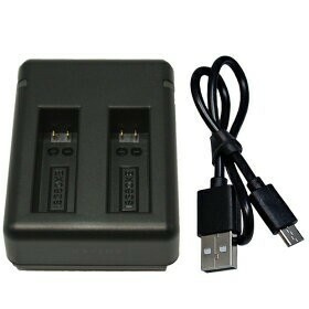 【充電器】 充電器 (USBタイプ 2個同時充電） Insta360 ONE X 対応 コード 01897