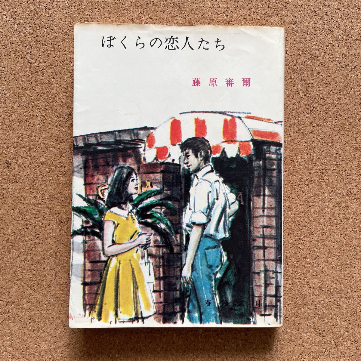 ○新註校定 国訳本草綱目 全15巻 昭和50年 春陽堂書店 鈴木真海 月報揃