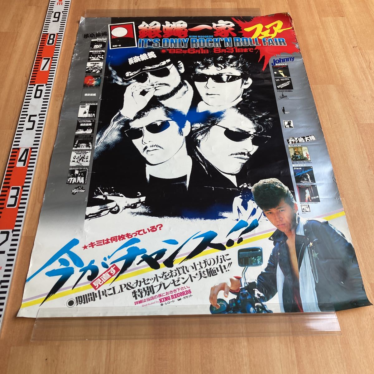 横浜銀蝿 ポスターパネル www.thesciencebasement.org