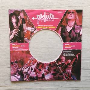 PICTURE FANTASIES オランダ盤