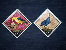 ギニア切手　野鳥２種　消印　1971年_画像1