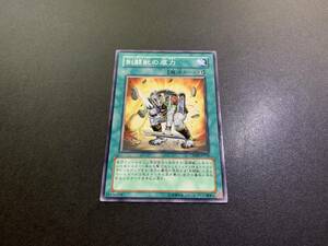 ★遊戯王★ 剣闘獣の底力 CRMS ★ ノーマルレア