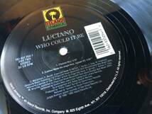 230118●Luciano - Who Could It Be/162-531 054-1DJ/Instrumental/Ragga HipHop/12inch LP アナログ盤_画像5