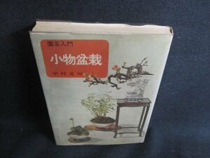 園芸入門　小物盆栽　シール跡有・シミ日焼け強/HFQ