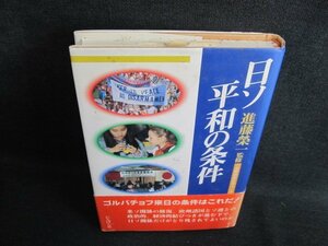 日ソ平和の条件　進藤榮一監修　シミ日焼け強/IAO