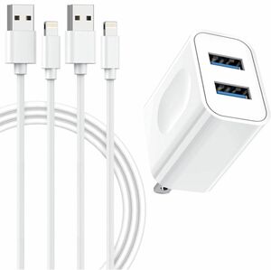 SALE☆【新品未使用】USB 充電器 2ポート iPhone 充電ケーブル 海外対応