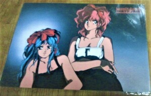  Dirty Pair внизу кровать не использовался нераспечатанный 