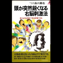 本 書籍 「頭が突然鋭くなる右脳刺激法」 品川嘉也著 青春出版社 見たものを20秒で完全記憶できる_画像1