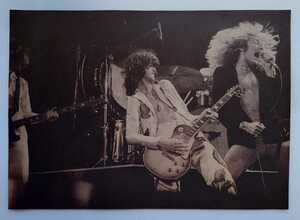 Led Zeppelin красный *tsepe Lynn постер 