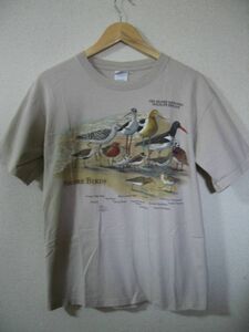 00's パムリコ湾 ペアアイランド国立野生生物保護区 水鳥 Tシャツ size M ベージュ系