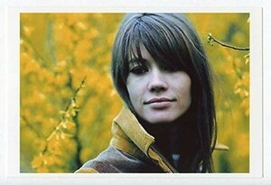 ［フォト4x6］ フランソワーズ・アルディ 119A 写真(小) Francoise Hardy