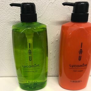 新品 紫外線対策＆汗ばみベタベタこの時期に最適なヘアケア リコミント サプリ