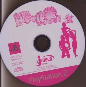 【即決はプラス1本おまけ】 おとなのギャル雀 きみにハネ満! （ベスト版） PS2 ソフト ディスクのみ 動作品 プレイステーション 【t18401】