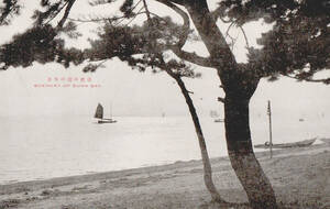 ●戦前絵葉書●須磨の浦の風景 神戸市 兵庫県●古写真 郷土資料 観光 明治 大正 昭和