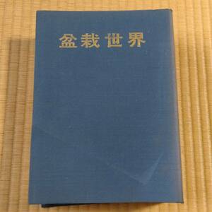  старый журнал бонсай мир Showa 55 год 1 месяц ~12 месяц . камень фирма Showa Retro старая книга старинная книга [3197]