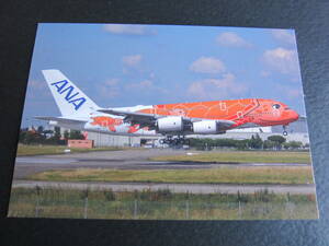 ANA■A380／FLYING HONU(フライングホヌ)3号機■A380-841■JA383A■ラー／La■トゥールーズ■絵葉書