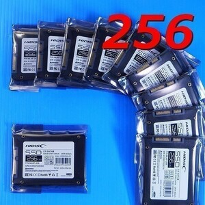 【SSD 256GB】HIDISC HDSSD256GJP3 送料210円