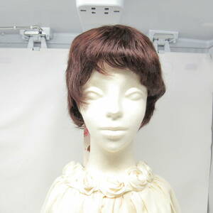 81-00018 [ outlet ] manner .. young lady Short cut wig lady's tea color 