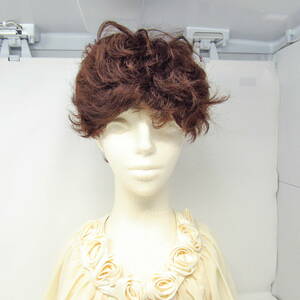 81-00034 [ outlet ] manner .. young lady Short wig lady's dark brown 