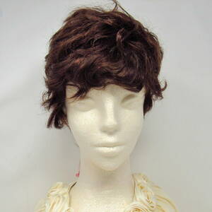 81-00067 [ outlet ] manner .. young lady wig Short dark brown 