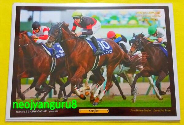 セリフォス*最優秀短距離馬*デジフォト*マイルCS*JRA*阪神競馬場