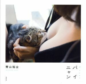  пирог nyan..... кошка | Aoyama ..( автор )