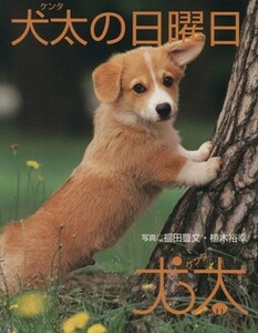  dog futoshi ( ticket ta). Sunday | Fukuda . writing, plant ..