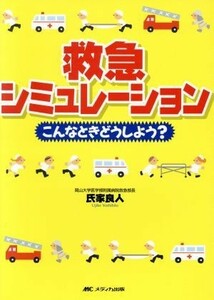 救急シミュレーション こんなときどうしよう？／氏家良人(著者)