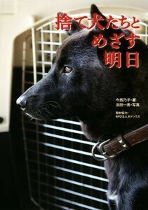 捨て犬たちとめざす明日 ノンフィクション知られざる世界／今西乃子(著者),浜田一男