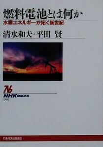 燃料電池とは何か 水素エネルギーが拓く新世紀 ＮＨＫブックス９０５／清水和夫(著者),平田賢(著者)