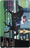 テレカ テレホンカード 第60回 朝日杯フューチュリティステークス セイウンワンダー UP011-0021