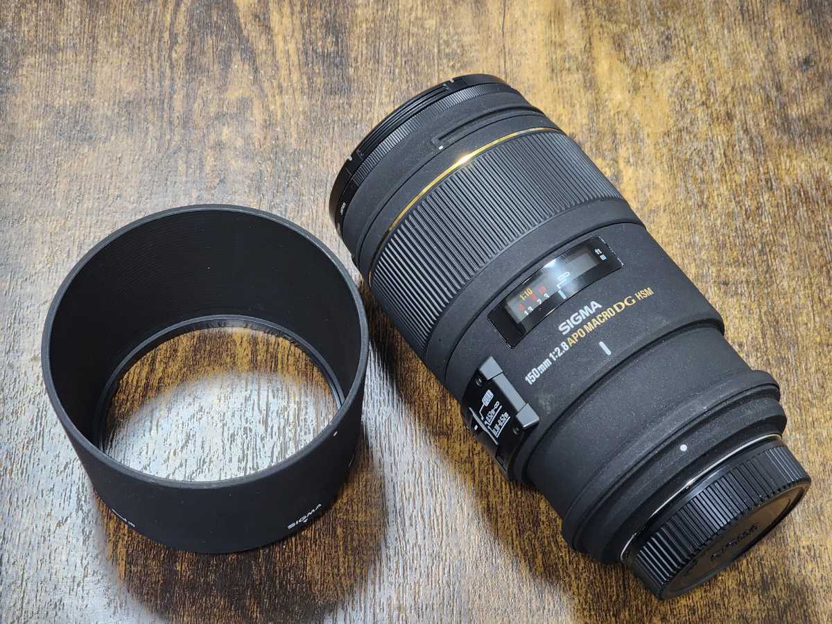 SALE/10%OFF シグマ 150mm F2.8APO MACRO EX DG HSM キヤノン用 fisd.lk