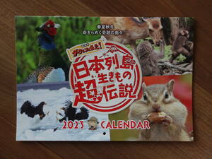 『日本列島生きもの超伝説　劇場版 ダーウィンが来た！』特製２０２３年度版カレンダー 前売特典 水瀬いのり 映画 非売品 鑑賞券
