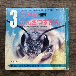 Z-3496■花と虫 かんさつずかん（3年の学習 春から夏の学習号 第1学習教材 理科）■花図鑑 虫図鑑■学習研究社■（1968年）昭和43年6月1日