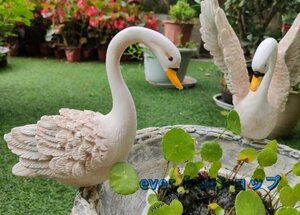  new goods recommendation * swan. garden. ornament garden ornament 