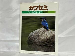 ジュニア写真動物記7 カワセミ チューさんと青い宝石 嶋田忠 198年初版 平凡社 C19-01M