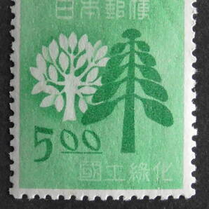 記念切手 国土緑化 1949年『樹木 』 5円の画像1
