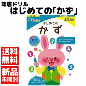 新品・送料無料　はじめてのちえあそび　知育ドリル